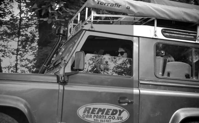 Remedy Founders 768x477