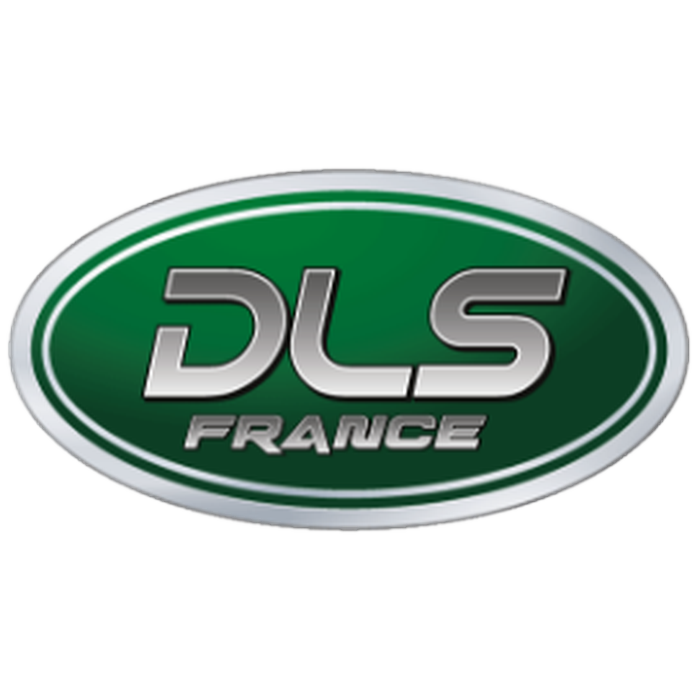 dlsfrance logo processed
