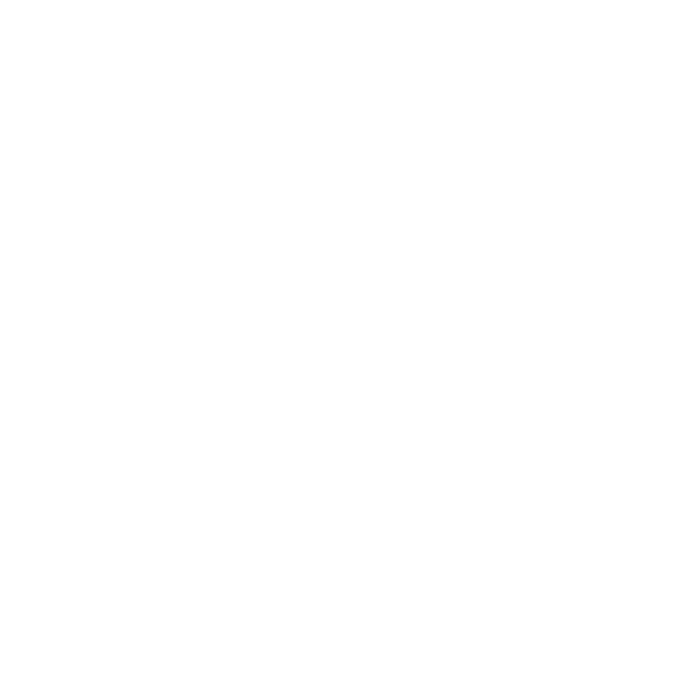 landypoint logo processed 1